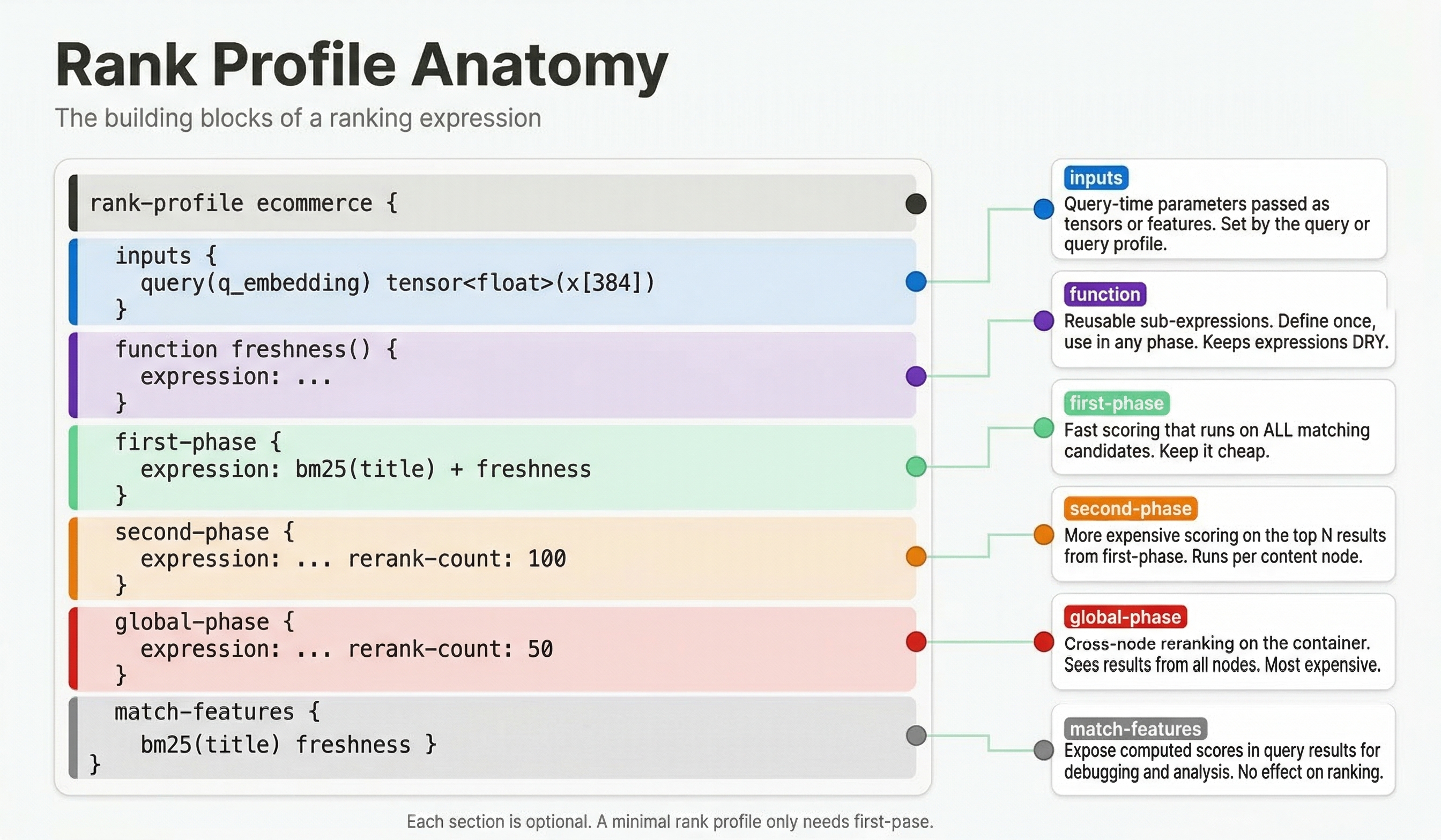 Rank Profile Anatomy